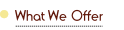 What We Offer.